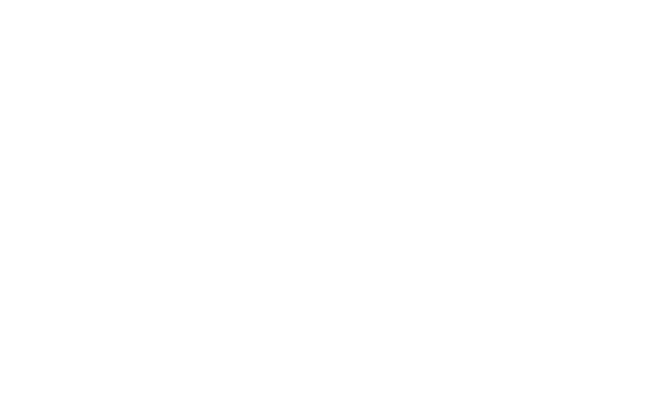 PRO75 - Logo serwisu generatorów